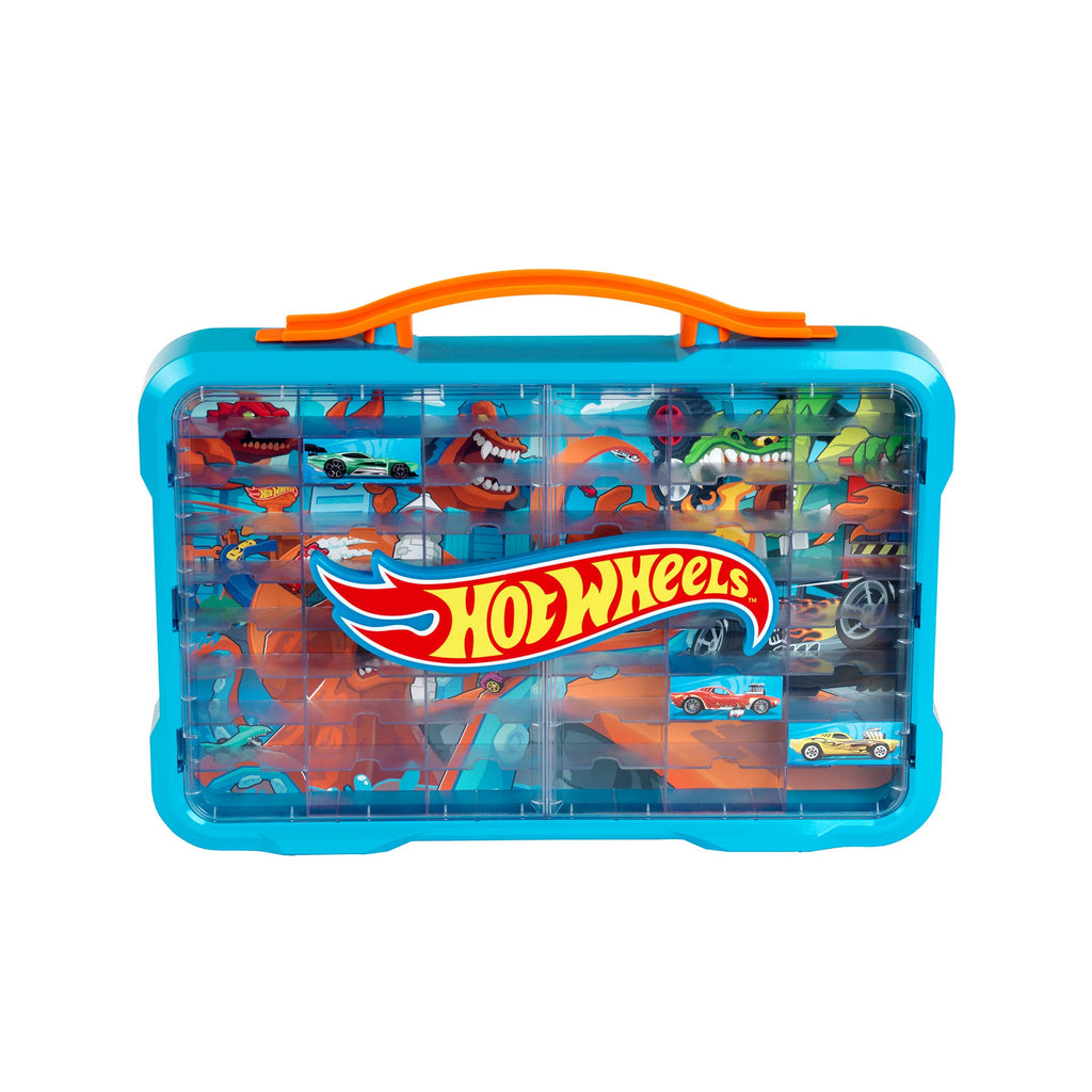 Collector Display Case