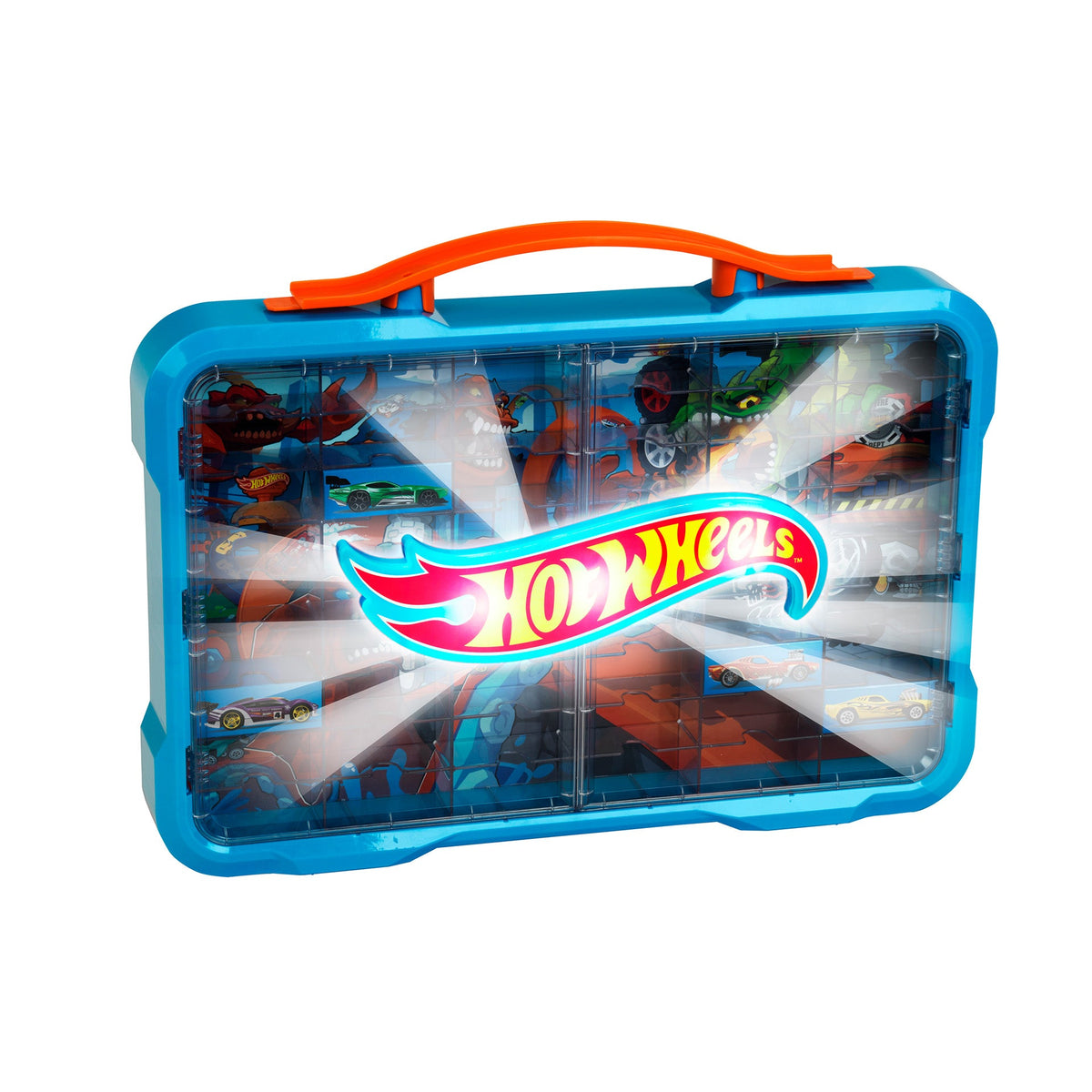 Collector Display Case