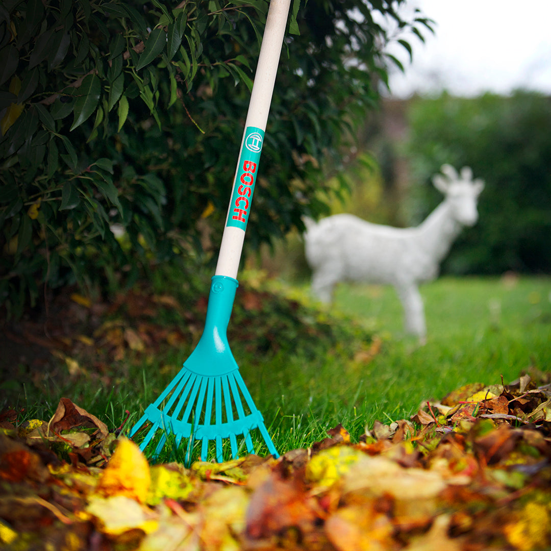 Leaf Rake