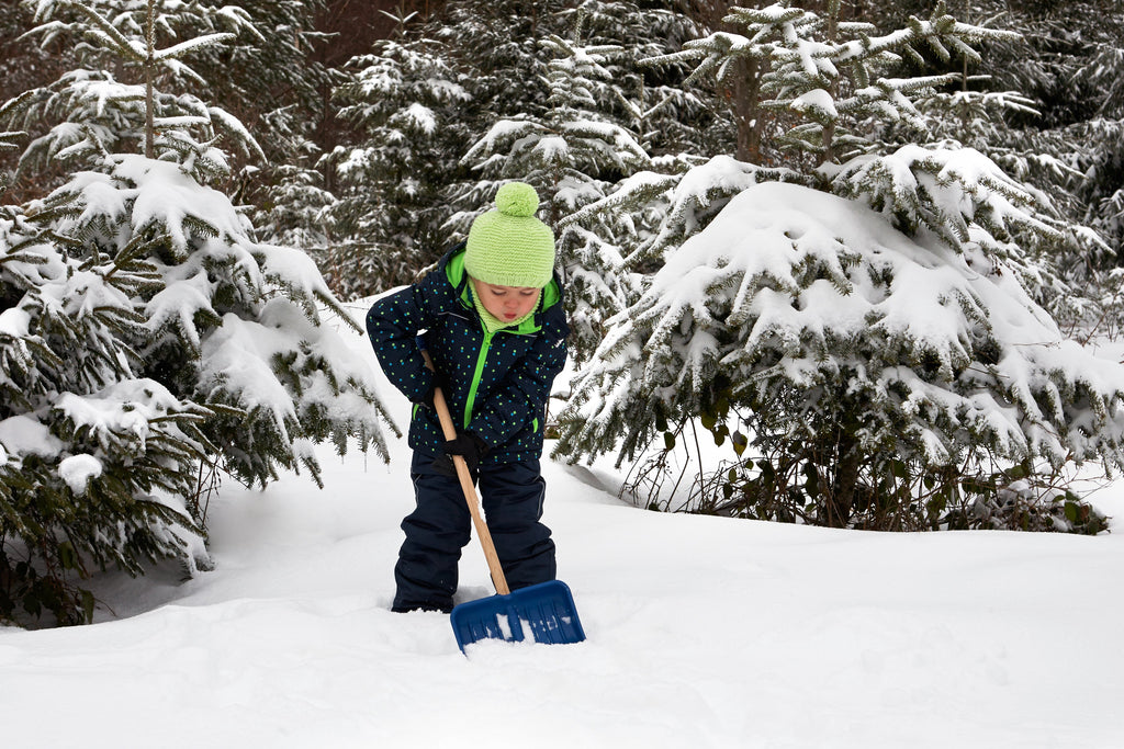 Snow Shovel