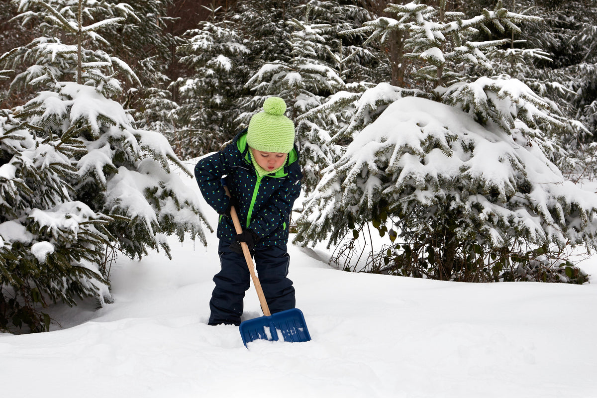 Snow Shovel